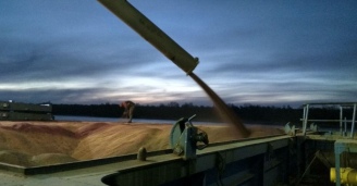 Фото Тяжело в учении — легко в бою! №5